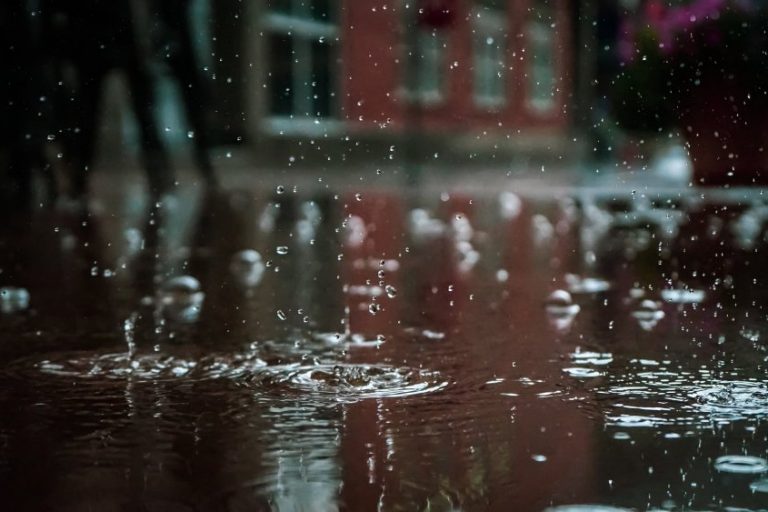 rain-1000